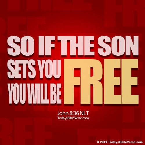 Son Sets Free Bible Verse